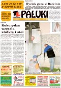 Pałuki