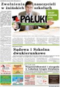 Pałuki