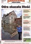 Panorama Leszczyńska