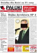 Pałuki i Ziemia Mogileńska