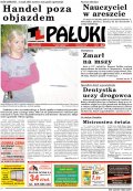 Pałuki