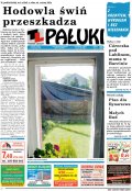 Pałuki