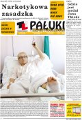 Pałuki i Ziemia Mogileńska