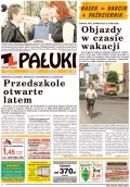 Pałuki