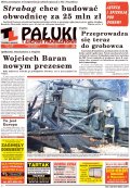 Pałuki i Ziemia Mogileńska