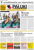 Pałuki i Ziemia Mogileńska