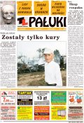 Pałuki