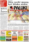 Pałuki