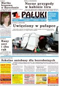 Pałuki i Ziemia Mogileńska