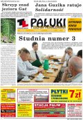 Pałuki i Ziemia Mogileńska