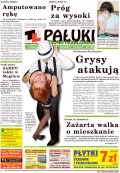 Pałuki i Ziemia Mogileńska