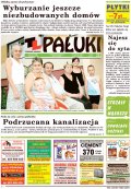 Pałuki