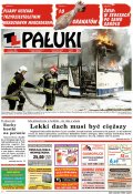 Pałuki