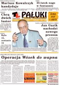 Pałuki i Ziemia Mogileńska