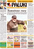 Pałuki