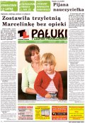 Pałuki i Ziemia Mogileńska