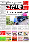 Pałuki