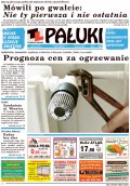 Pałuki