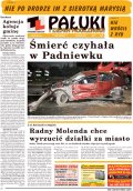 Pałuki i Ziemia Mogileńska