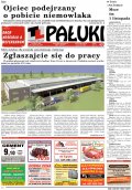 Pałuki