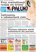 Pałuki