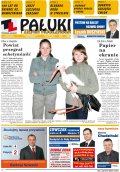 Pałuki i Ziemia Mogileńska