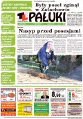 Pałuki