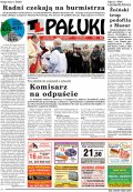 Pałuki