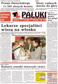 Pałuki i Ziemia Mogileńska