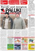 Pałuki