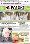 Pałuki i Ziemia Mogileńska