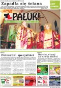 Pałuki