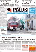 Pałuki i Ziemia Mogileńska