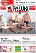 Pałuki