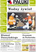 Pałuki i Ziemia Mogileńska