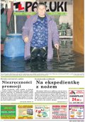 Pałuki