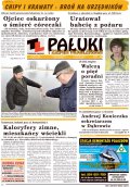 Pałuki i Ziemia Mogileńska
