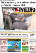 Pałuki