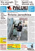 Pałuki i Ziemia Mogileńska