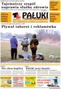 Pałuki i Ziemia Mogileńska