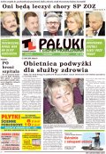 Pałuki i Ziemia Mogileńska
