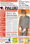 Pałuki i Ziemia Mogileńska
