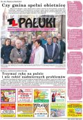Pałuki