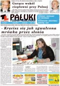 Pałuki i Ziemia Mogileńska