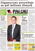 Pałuki i Ziemia Mogileńska