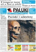Pałuki i Ziemia Mogileńska