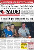 Pałuki i Ziemia Mogileńska
