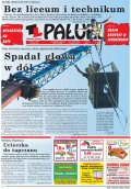 Pałuki