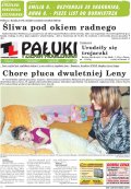 Pałuki i Ziemia Mogileńska