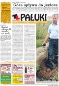 Pałuki